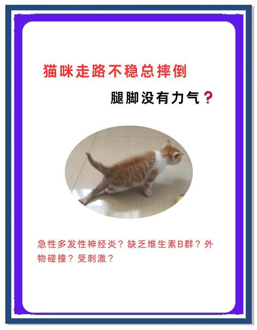 宠物猫猫绝育后,还会怀孕吗?