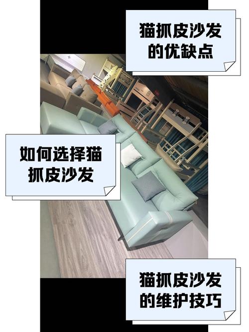 你们是怎么防止猫咪抓沙发的?
