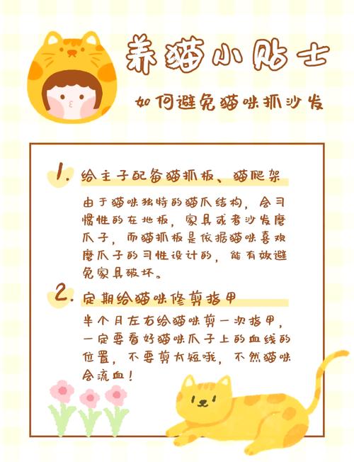 怎么训练阿舍拉猫不抓沙发