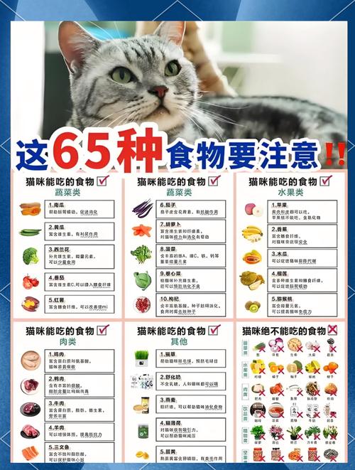 猫咪吃什么蔬菜好