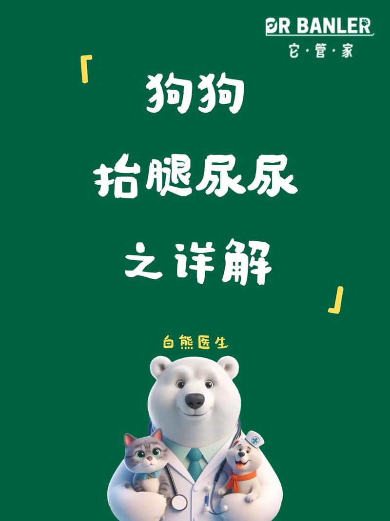 狗狗为什么不抬腿撒尿