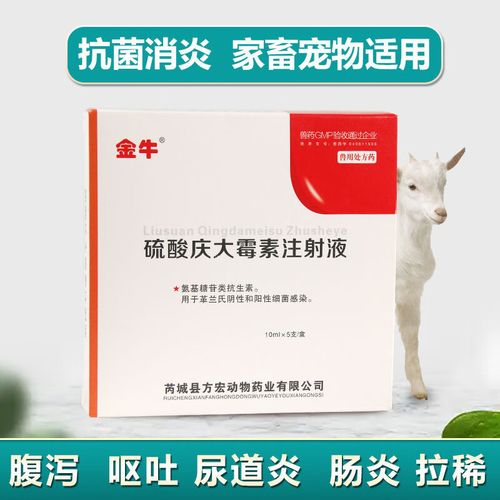 狗狗吐黄味能吃庆大霉素吗?