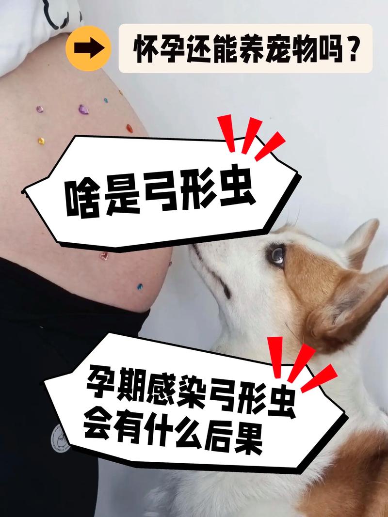 狗狗都有弓形虫吗