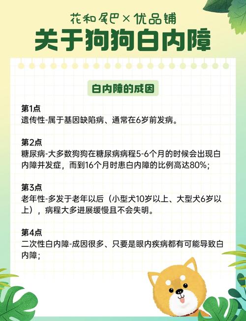 狗狗白内障多久发展到成熟期