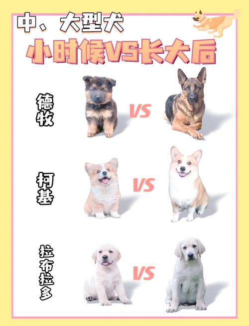 狗长到几个月就不长了