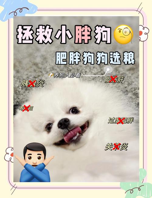 成年大型犬体质瘦,吃什么东西能长胖?