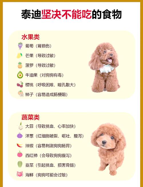 狗可以吃阿胶糕吗