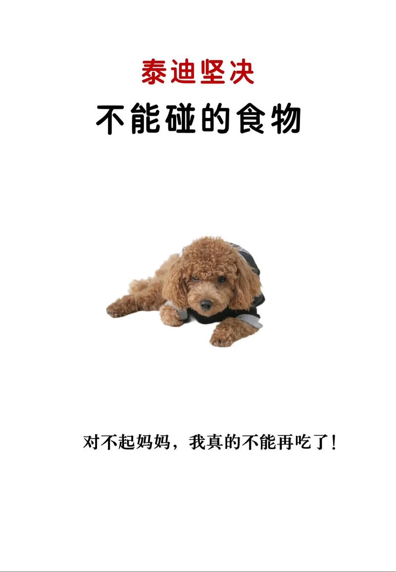 小狗吃阿胶糕能死吗?