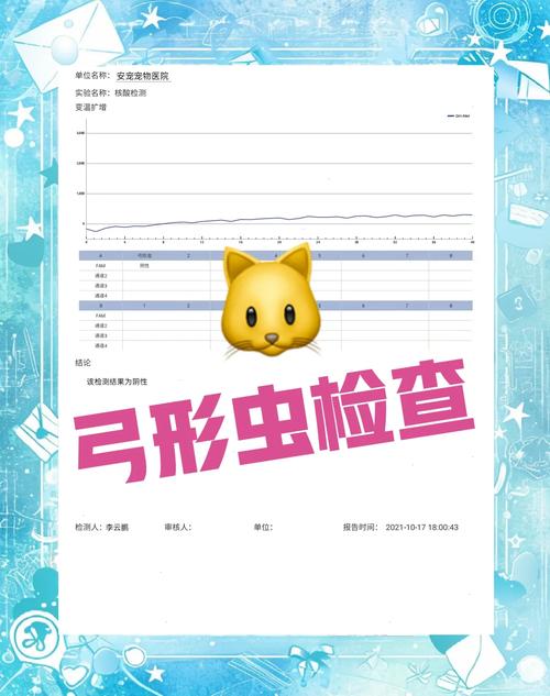 怎么样察觉猫有弓形虫?