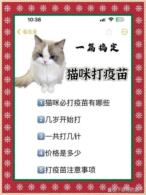 小猫要打几针疫苗