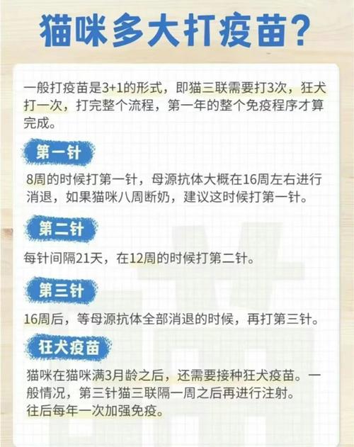 猫咪疫苗需要打几次?