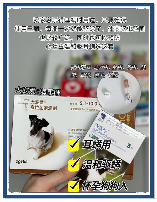 两个月的狗狗该怎么驱虫?