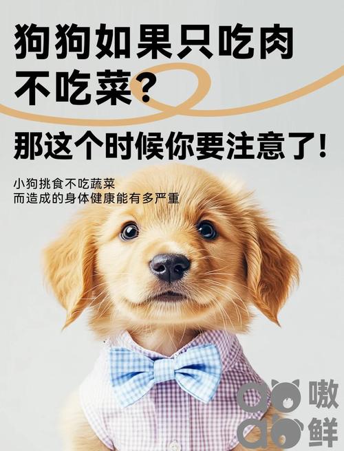 长期给狗吃肉好吗?