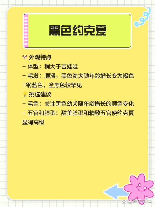 黑色狗狗名字大全