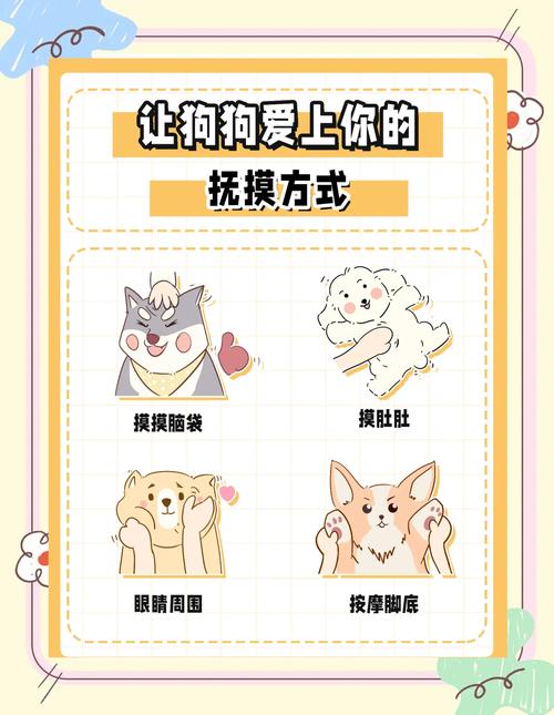 怎么摸狗狗能让它舒服