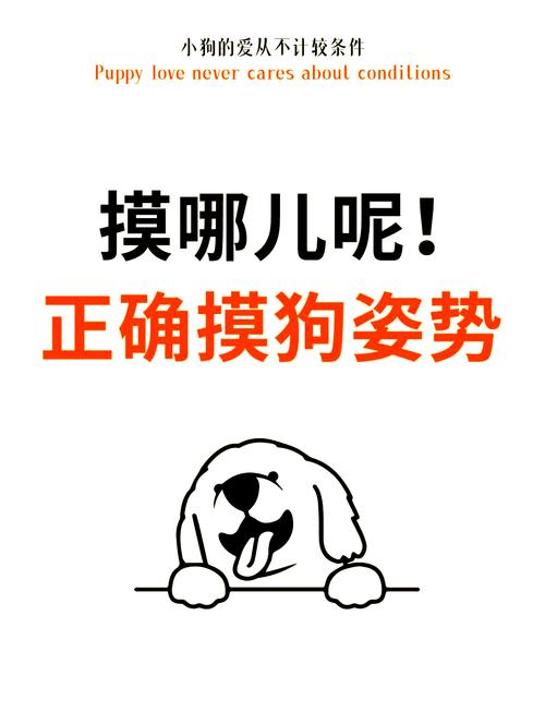 人接近狗狗水门的正确操作是怎样的