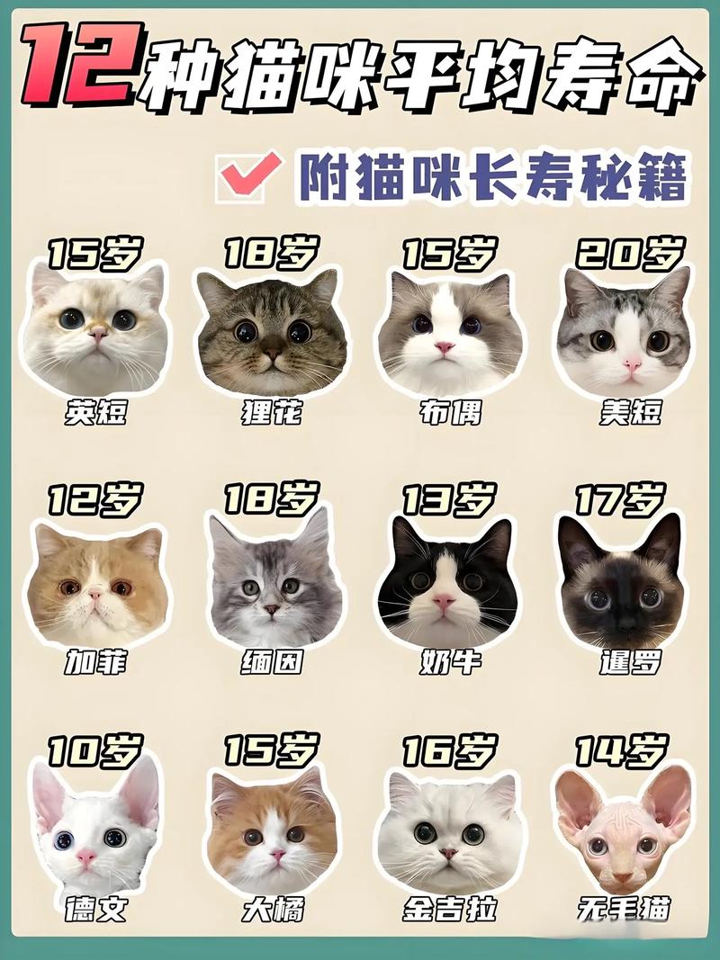 猫咪患肥厚性心肌病能活多久啊