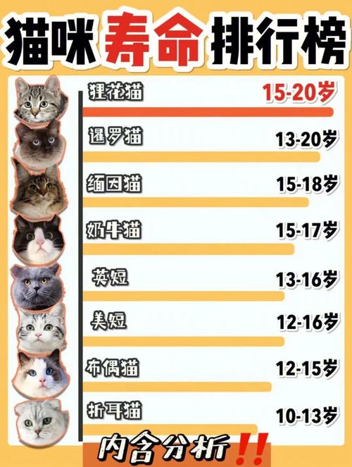 猫咪一般能活几年?