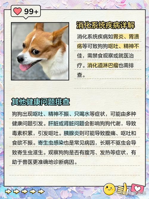 狗狗呕吐没精神不吃东西怎么办?