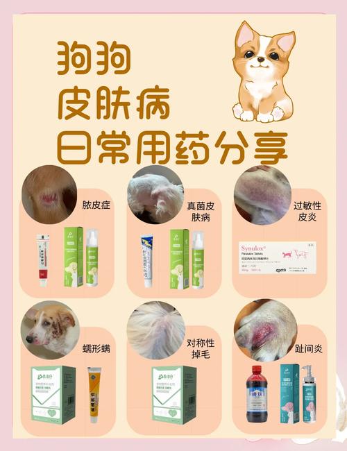 狗狗皮肤病用什么药好啊