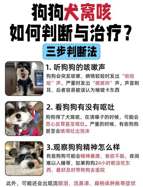 狗狗咳嗽怎么办
