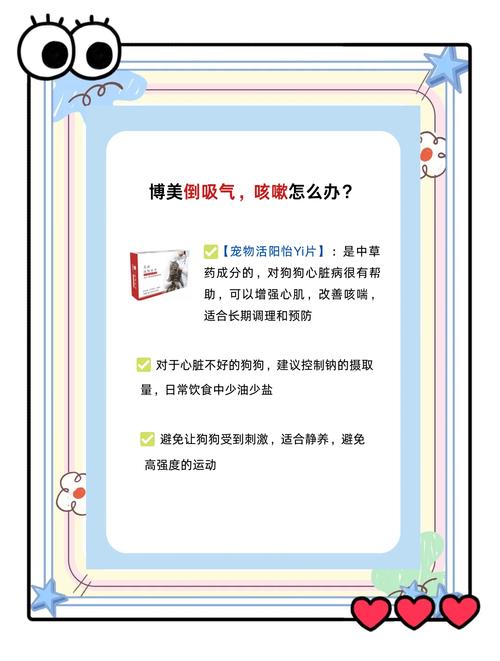 狗狗经常咳嗽怎么办