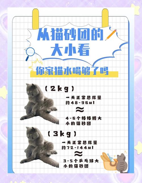 猫一天尿十几次正常吗