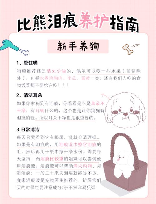 怎样去狗狗泪痕