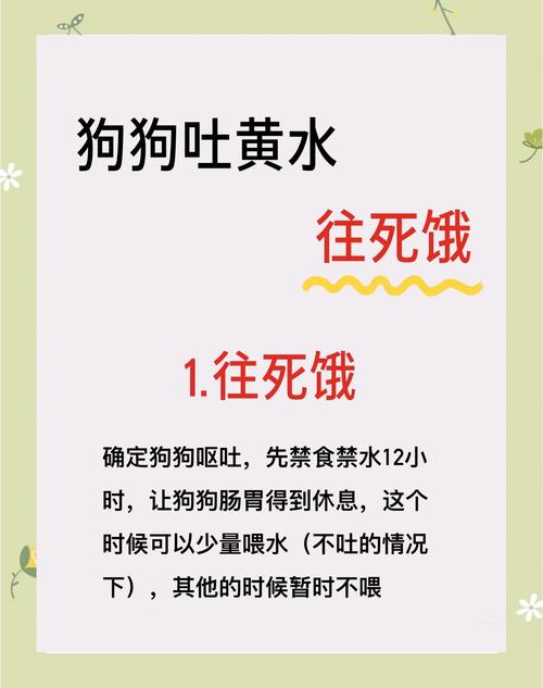 狗狗肚子咕噜响吐黄水,该怎么办