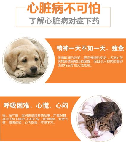 狗狗气管狭窄的症状及治疗方法