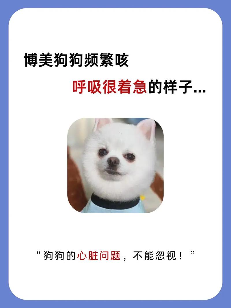 狗狗气管狭窄能活多久?