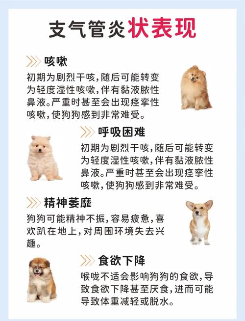 狗狗气管狭窄怎么办好
