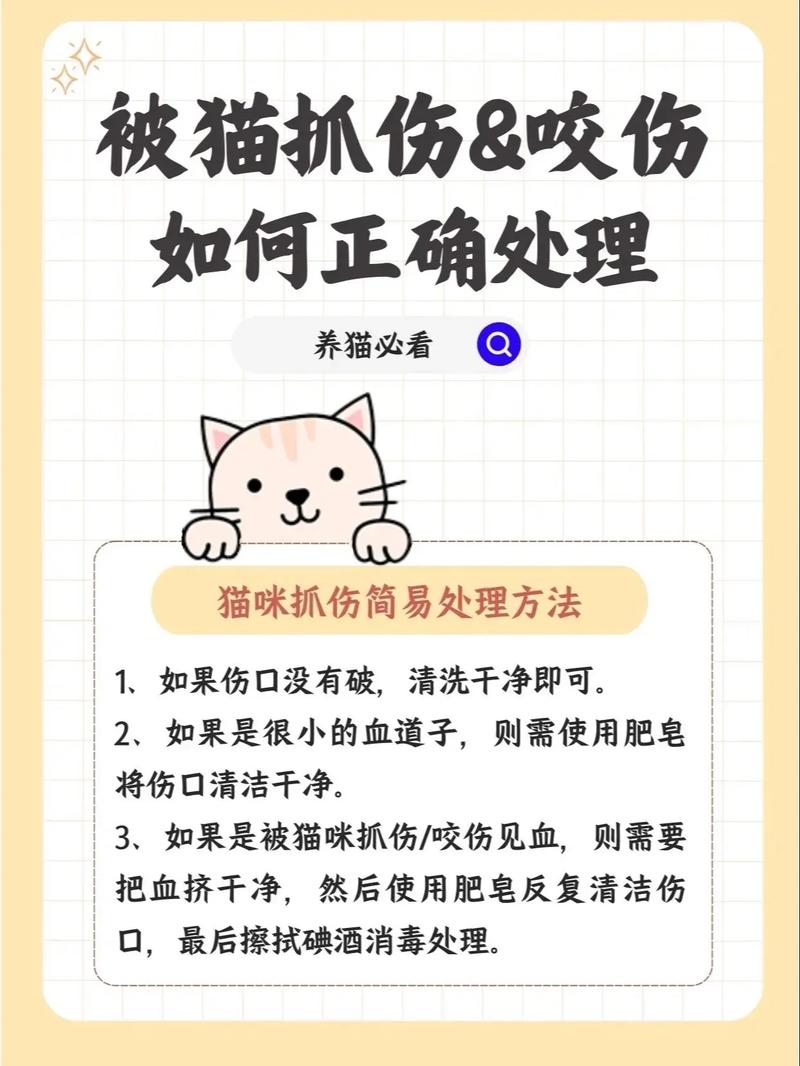 猫咬伤了怎么办啊?