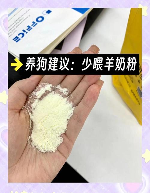 狗狗生产可以喂羊奶粉吗?