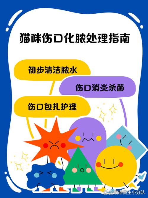 猫咪伤口化脓怎么处理