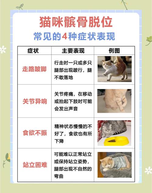 猫关节脱臼是什么症状