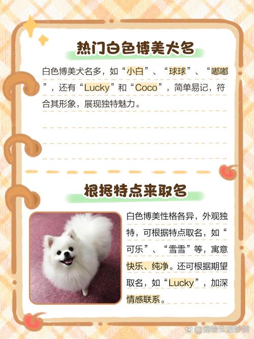 100个好听到爆的狗狗名字