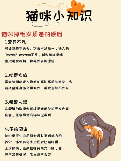 猫咪掉毛的原因是什么呢?