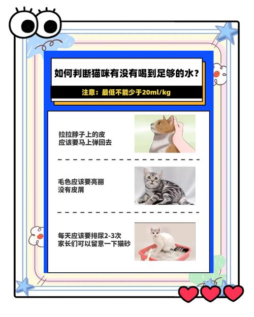 求推荐好用的猫咪饮水机?