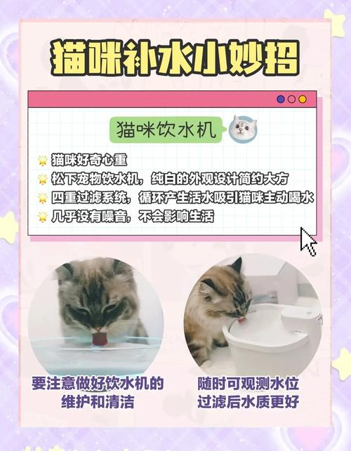 无需滤芯的宠物饮水机有什么推荐呢?