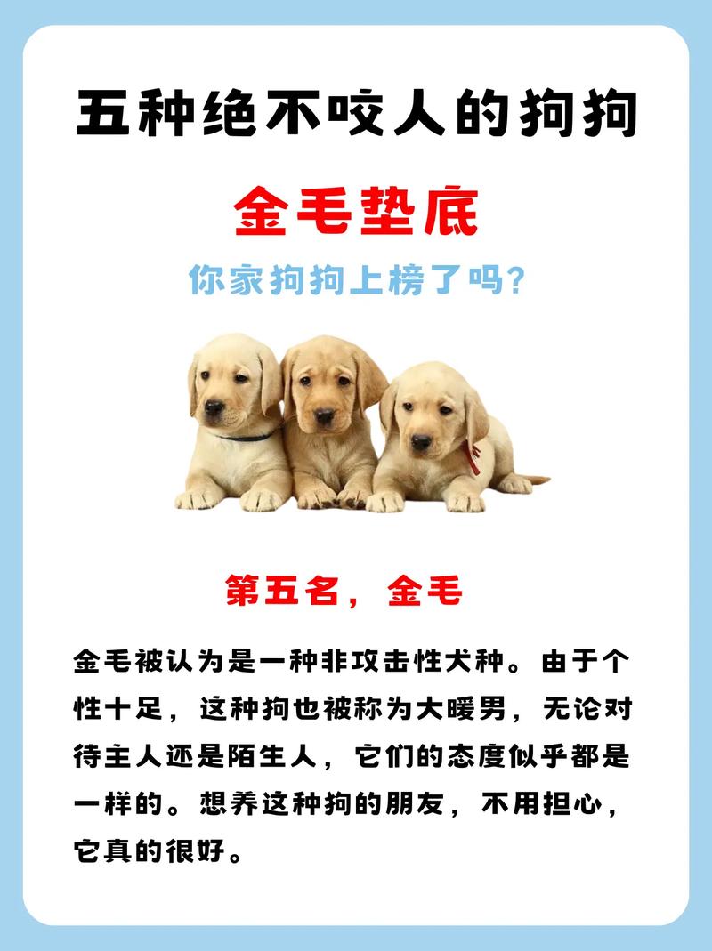 如何让狗狗不咬人