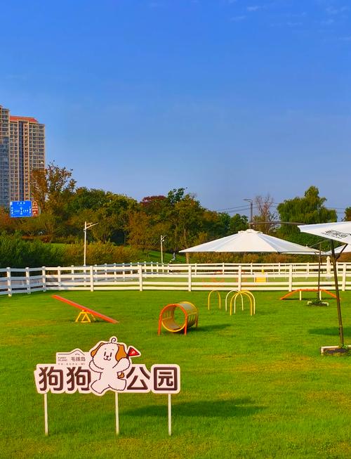 南京附近可以带狗狗旅游的地方(南京旅游可以带狗吗)