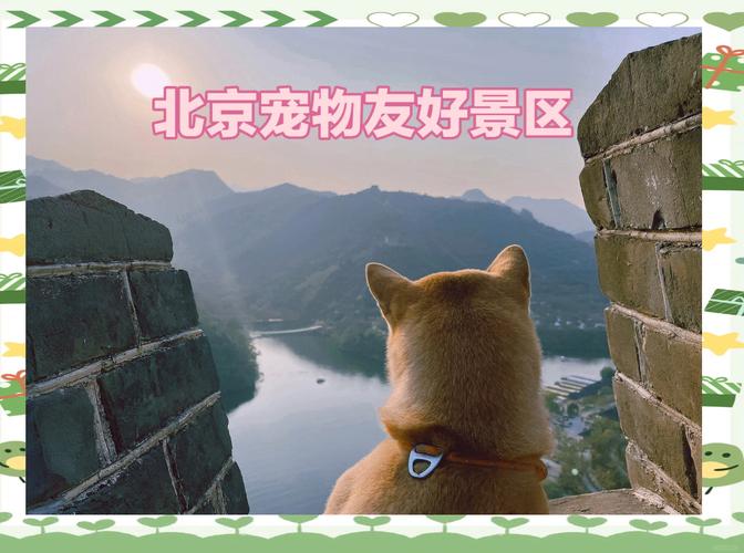 国内有哪些景点适合带狗狗去旅游?