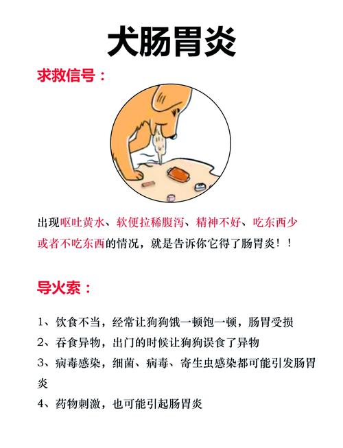 狗狗拉稀呕吐没精神怎么办