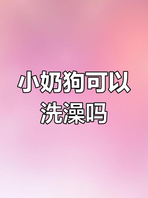 一个月的小狗洗澡会怎么样呢