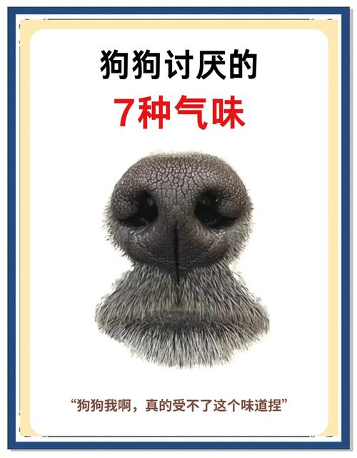 花露水可以给狗狗用吗