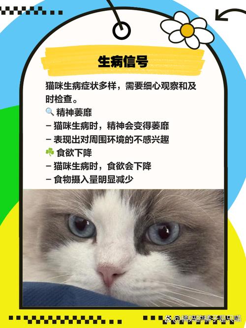 猫突然不吃不喝嗜睡