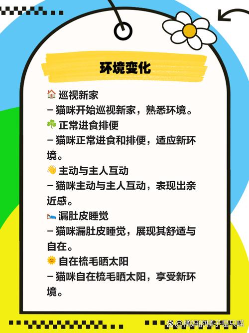 猫不吃东西也不喝水爪子和耳朵发凉趴地上不起来也没有精神?