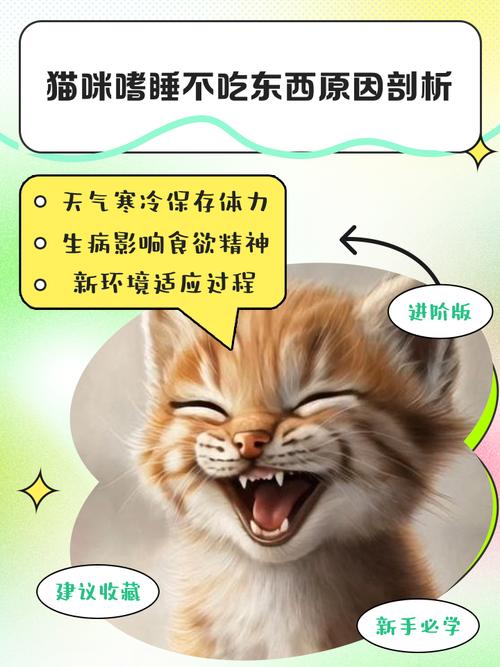 猫突然不吃不喝没精神
