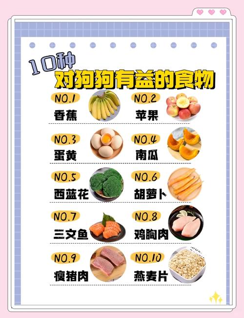 狗狗吃什么营养好长胖又壮